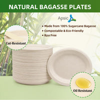 APSIC Small Natural Bagasse Oval Plates, 500 Count - BOP-26192