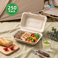 APSIC 9x6 Natural Bagasse Hinged Clamshell Containers, 250 Count - BHC-96N