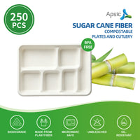 APSIC Bagasse 6-Compartment Tray, PFAS-Free — 250/Case