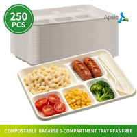 APSIC Bagasse 6-Compartment Tray, PFAS-Free — 250/Case
