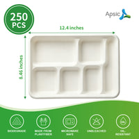 APSIC Bagasse 6-Compartment Tray, PFAS-Free — 250/Case
