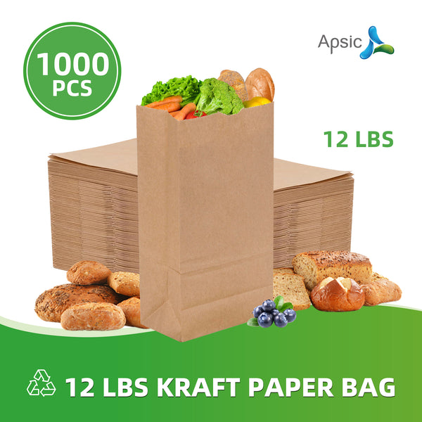 APSIC 12 lb. Natural Kraft Paper Bag - 1000/Bundle