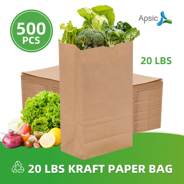 APSIC 20 lb. Natural Kraft Paper Bag - 500/Bundle