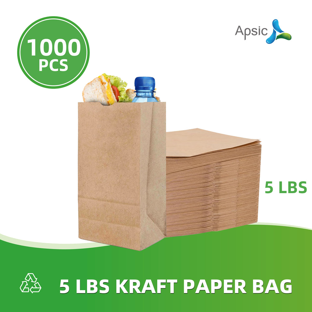 APSIC 5 lb. Natural Kraft Paper Bag - 1000/Bundle