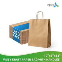 APSIC Kraft Paper Bags w/ Handles 10x5x13, 250 Pack (PB-02)
