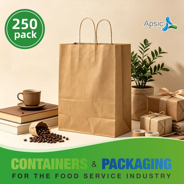 APSIC Kraft Paper Bags w/ Handles 10x5x13, 250 Pack (PB-02)