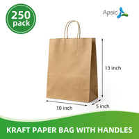 APSIC Kraft Paper Bags w/ Handles 10x5x13, 250 Pack (PB-02)