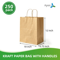 APSIC Kraft Paper Bags w/ Handles 10x6.75x12, 250 Pack (PB-03)