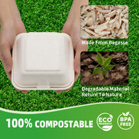 APSIC Bagasse 6×6