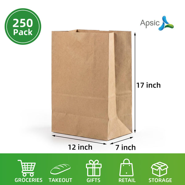 APSIC 1/6 BBL Kraft Grocery Bags 12x7x17, 250 Pack (SB-01)
