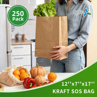APSIC 1/6 BBL Kraft Grocery Bags 12x7x17, 250 Pack (SB-01)