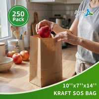 APSIC 1/8 BBL Kraft Grocery Bags 10x7x14, 250 Pack (SB-02)