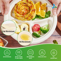 Bagasse 3-Compartment Round Plate 10